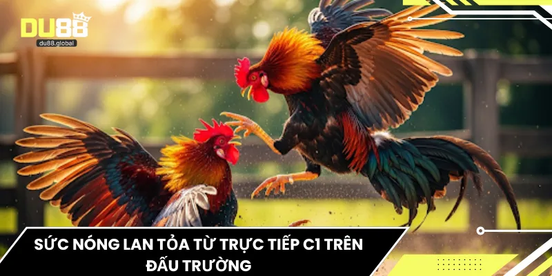 Sức nóng lan tỏa từ trực tiếp C1 trên đấu trường