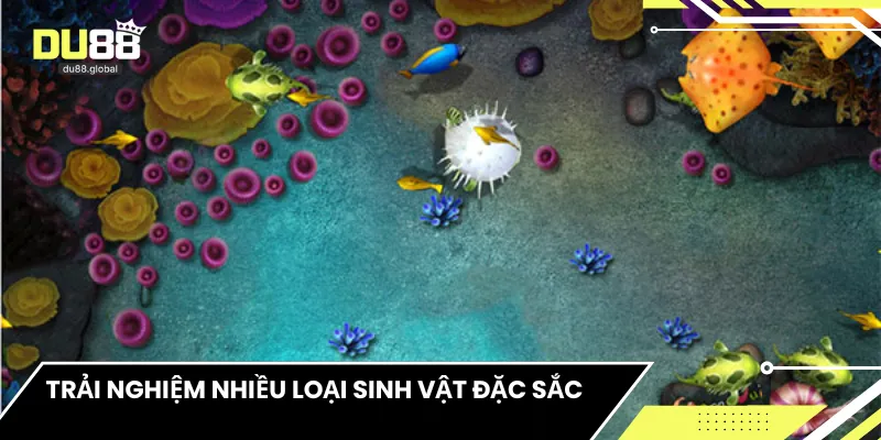 Trải nghiệm nhiều loại sinh vật đặc sắc 